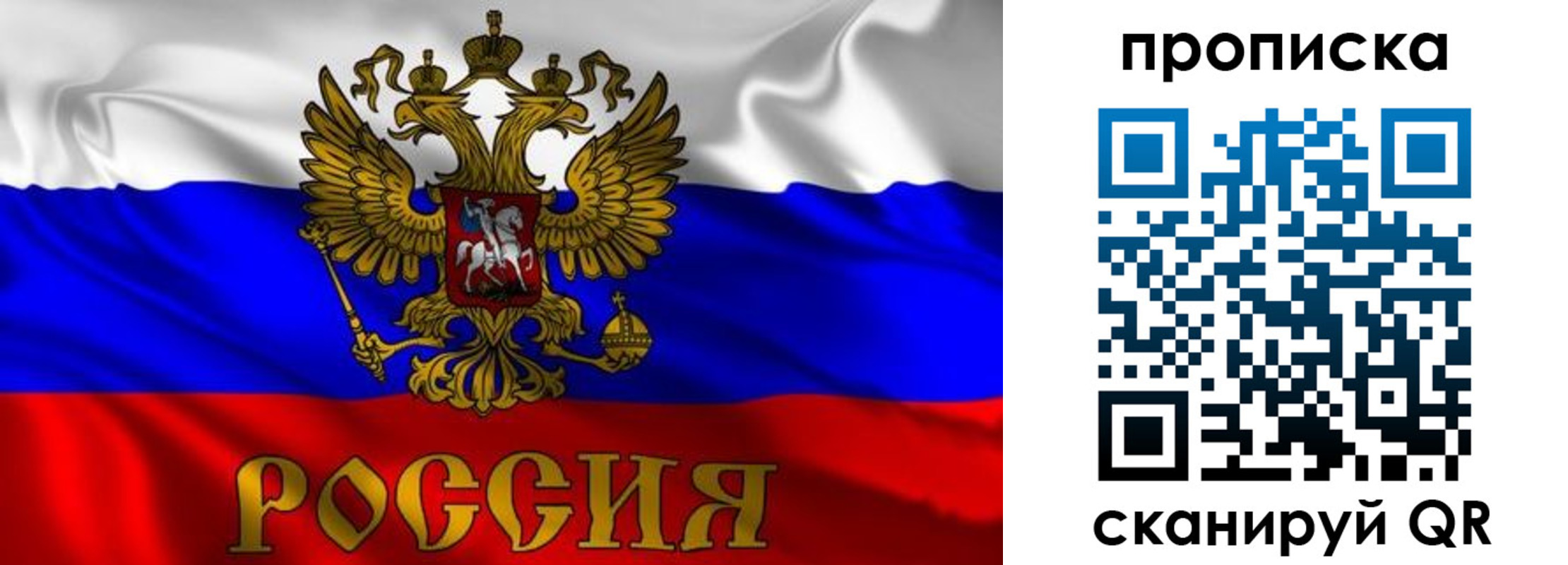 временная прописка в Коврове